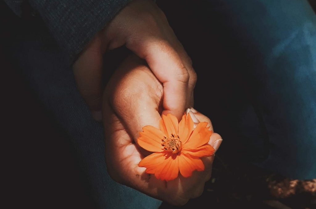 Satmya. Suitability. Detox Ayurveda